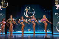 Fit Model Show - 2025