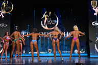 Fit Model Show - 2025