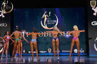 Fit Model Show - 2025