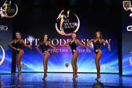 Fit Model Show - 2025