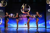 Fit Model Show - 2025