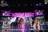 Fit Model Show - 2025