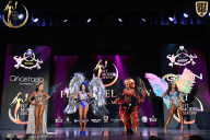 Fit Model Show - 2025