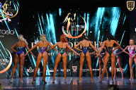 Fit Model Show - 2025