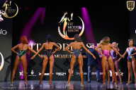 Fit Model Show - 2025