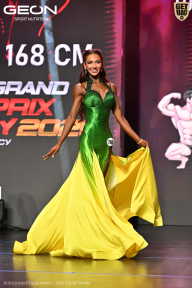 Grand Prix Dudushkin Fitness Family - 2026