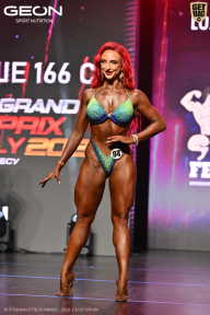 Grand Prix Dudushkin Fitness Family - 2026