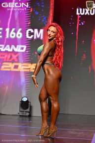 Grand Prix Dudushkin Fitness Family - 2026