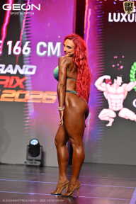Grand Prix Dudushkin Fitness Family - 2026