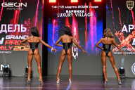 Grand Prix Dudushkin Fitness Family - 2026
