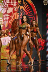 IFBB SEMIPRO RUSSIAN CUP - 2026
