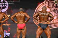 IFBB SEMIPRO RUSSIAN CUP - 2026