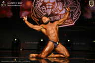 IFBB SEMIPRO RUSSIAN CUP - 2026