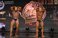 IFBB SEMIPRO RUSSIAN CUP - 2026