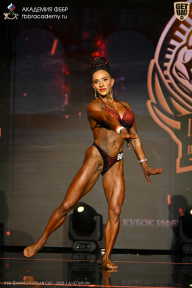 IFBB SEMIPRO RUSSIAN CUP - 2026
