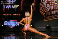 IFBB SEMIPRO RUSSIAN CUP - 2026