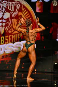 IFBB SEMIPRO RUSSIAN CUP - 2026