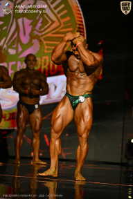 IFBB SEMIPRO RUSSIAN CUP - 2026