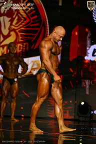 IFBB SEMIPRO RUSSIAN CUP - 2026