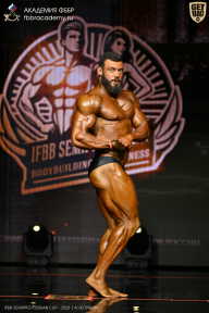 IFBB SEMIPRO RUSSIAN CUP - 2026
