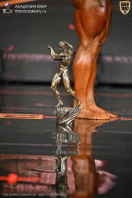 IFBB SEMIPRO RUSSIAN CUP - 2026