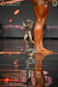IFBB SEMIPRO RUSSIAN CUP - 2026