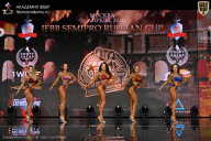 IFBB SEMIPRO RUSSIAN CUP - 2026