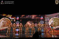 IFBB SEMIPRO RUSSIAN CUP - 2026