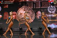 IFBB SEMIPRO RUSSIAN CUP - 2026