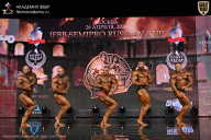 IFBB SEMIPRO RUSSIAN CUP - 2026