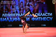 Чемпионат Ленинградской области по бодибилдингу - 2026