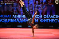 Чемпионат Ленинградской области по бодибилдингу - 2026