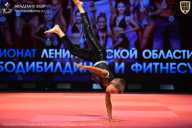 Чемпионат Ленинградской области по бодибилдингу - 2026