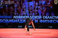 Чемпионат Ленинградской области по бодибилдингу - 2026