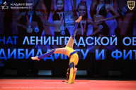 Чемпионат Ленинградской области по бодибилдингу - 2026