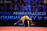 Чемпионат Ленинградской области по бодибилдингу - 2026