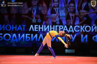 Чемпионат Ленинградской области по бодибилдингу - 2026