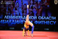 Чемпионат Ленинградской области по бодибилдингу - 2026