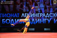 Чемпионат Ленинградской области по бодибилдингу - 2026