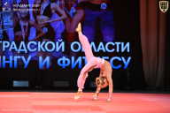 Чемпионат Ленинградской области по бодибилдингу - 2026