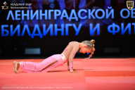 Чемпионат Ленинградской области по бодибилдингу - 2026