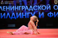 Чемпионат Ленинградской области по бодибилдингу - 2026