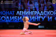 Чемпионат Ленинградской области по бодибилдингу - 2026