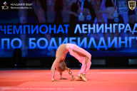 Чемпионат Ленинградской области по бодибилдингу - 2026