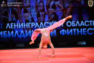 Чемпионат Ленинградской области по бодибилдингу - 2026