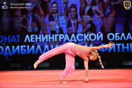 Чемпионат Ленинградской области по бодибилдингу - 2026