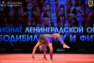 Чемпионат Ленинградской области по бодибилдингу - 2026