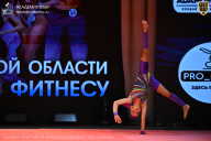 Чемпионат Ленинградской области по бодибилдингу - 2026