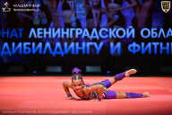 Чемпионат Ленинградской области по бодибилдингу - 2026