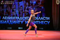 Чемпионат Ленинградской области по бодибилдингу - 2026